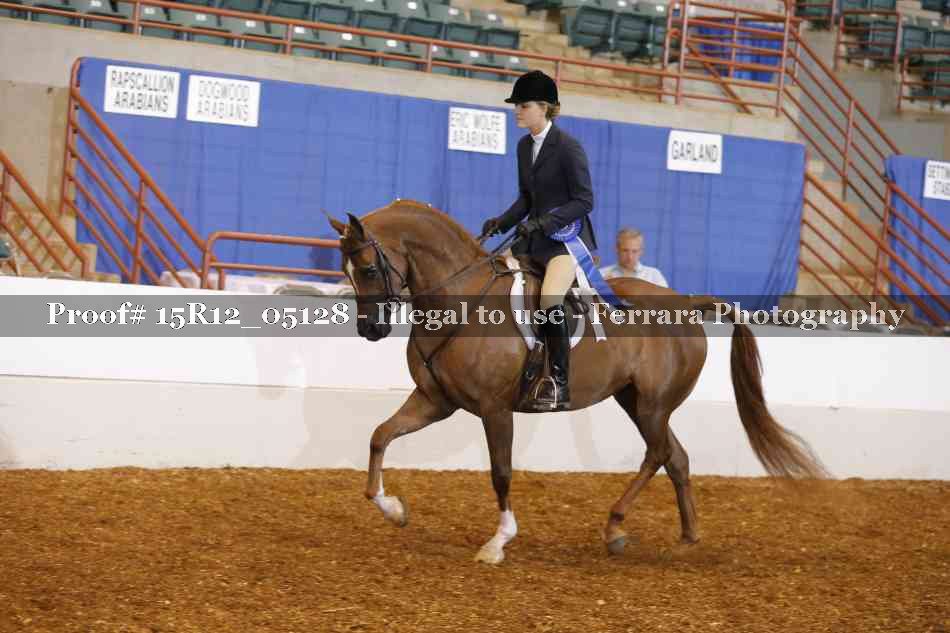 Proof Number 15R12_05128