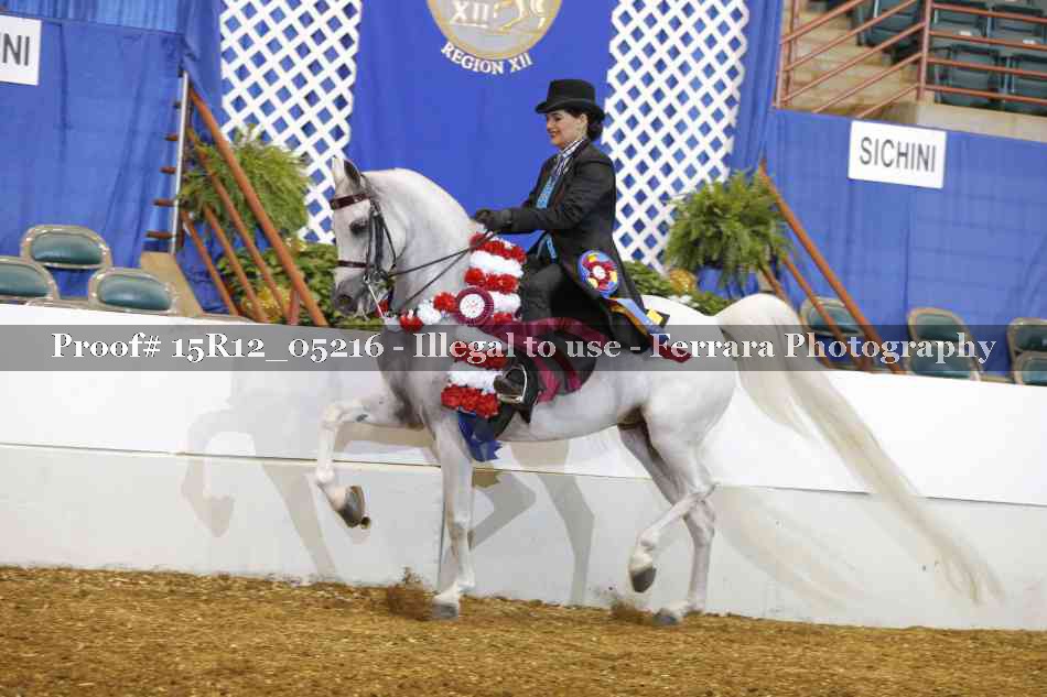 Proof Number 15R12_05216