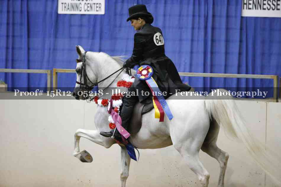 Proof Number 15R12_05218