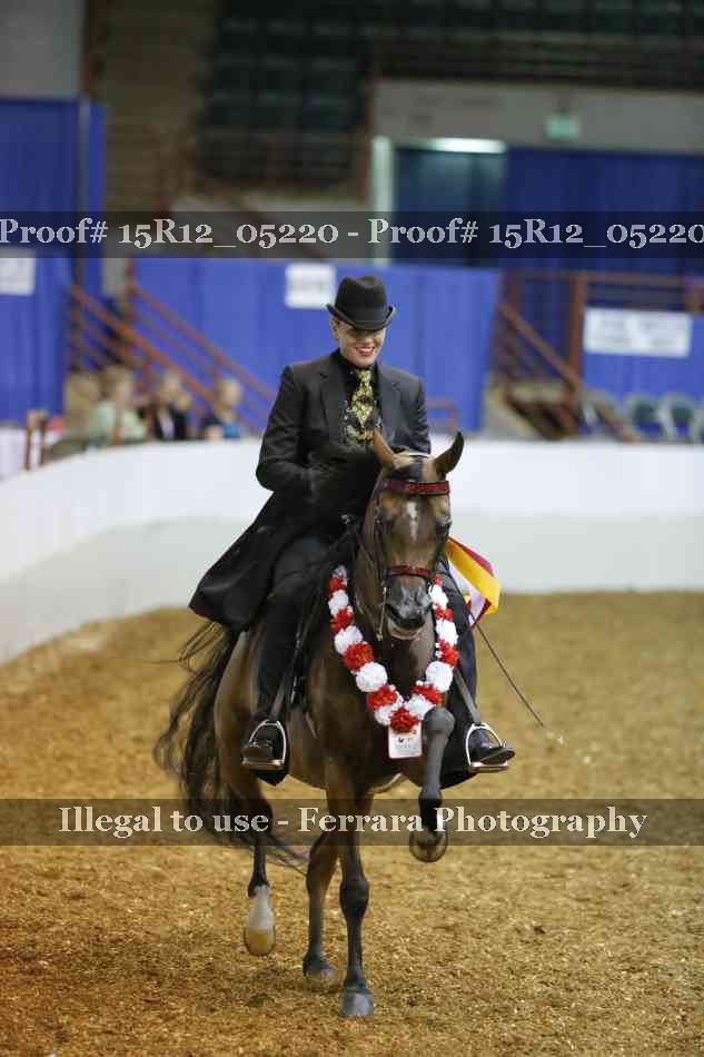 Proof Number 15R12_05220