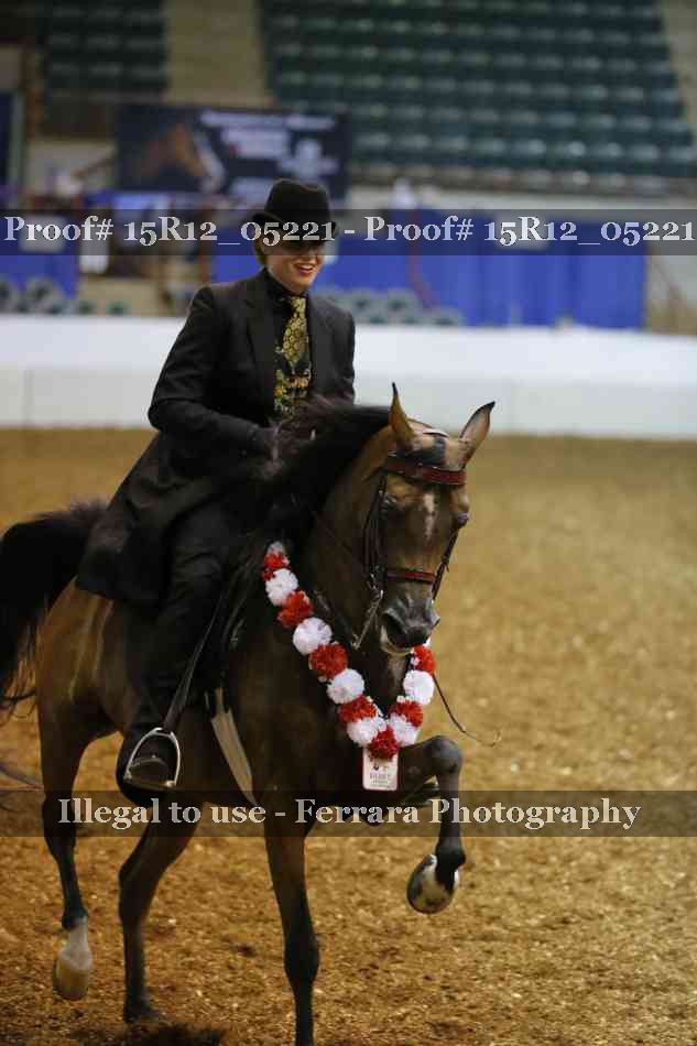 Proof Number 15R12_05221