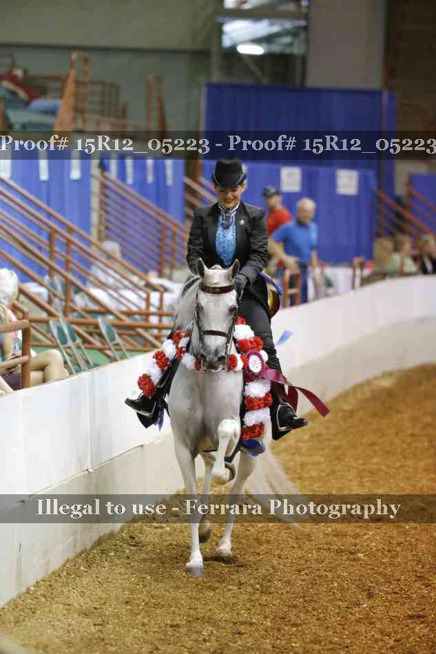 Proof Number 15R12_05223