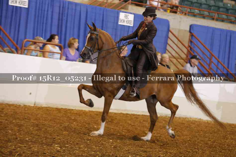 Proof Number 15R12_05231