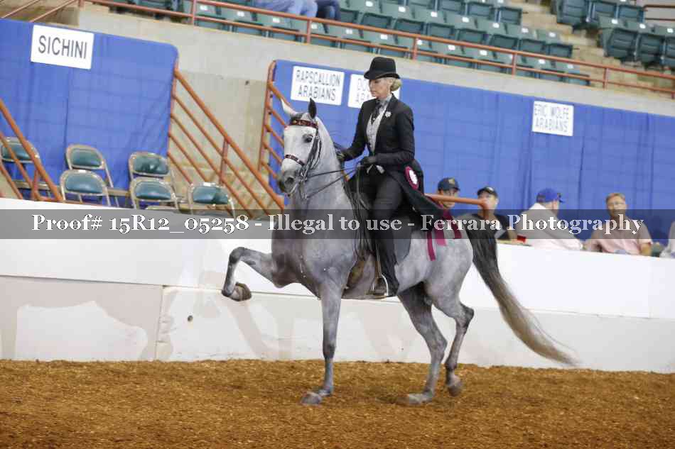 Proof Number 15R12_05258