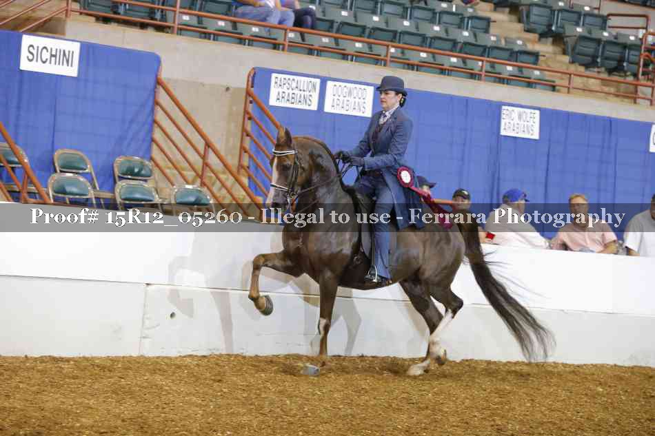 Proof Number 15R12_05260