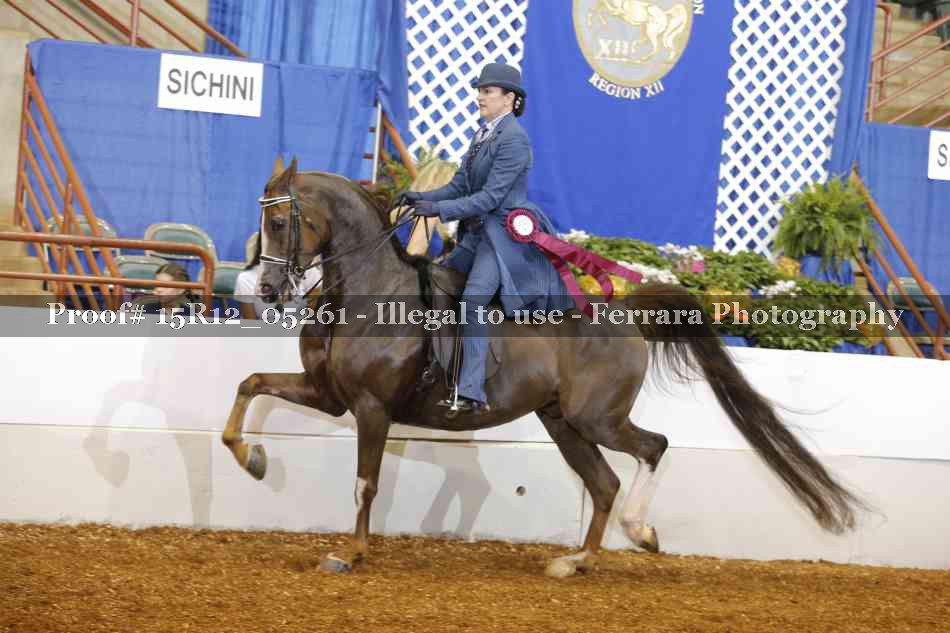 Proof Number 15R12_05261