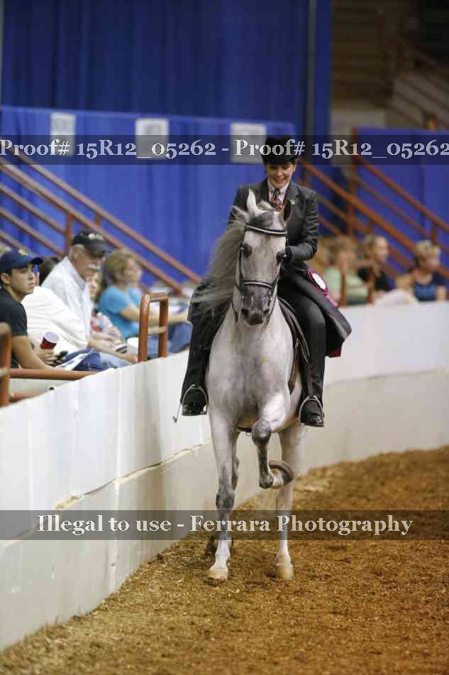 Proof Number 15R12_05262