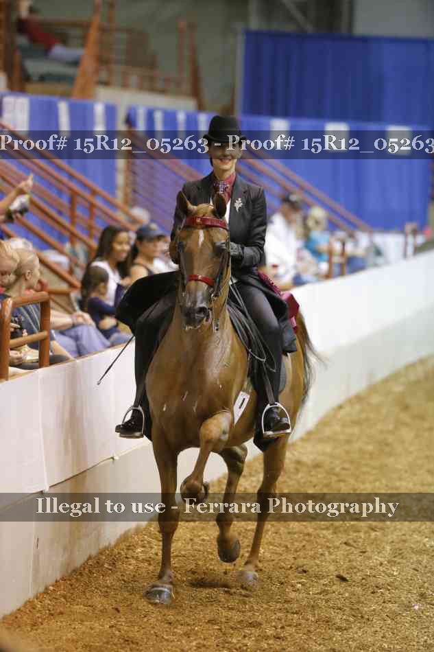 Proof Number 15R12_05263