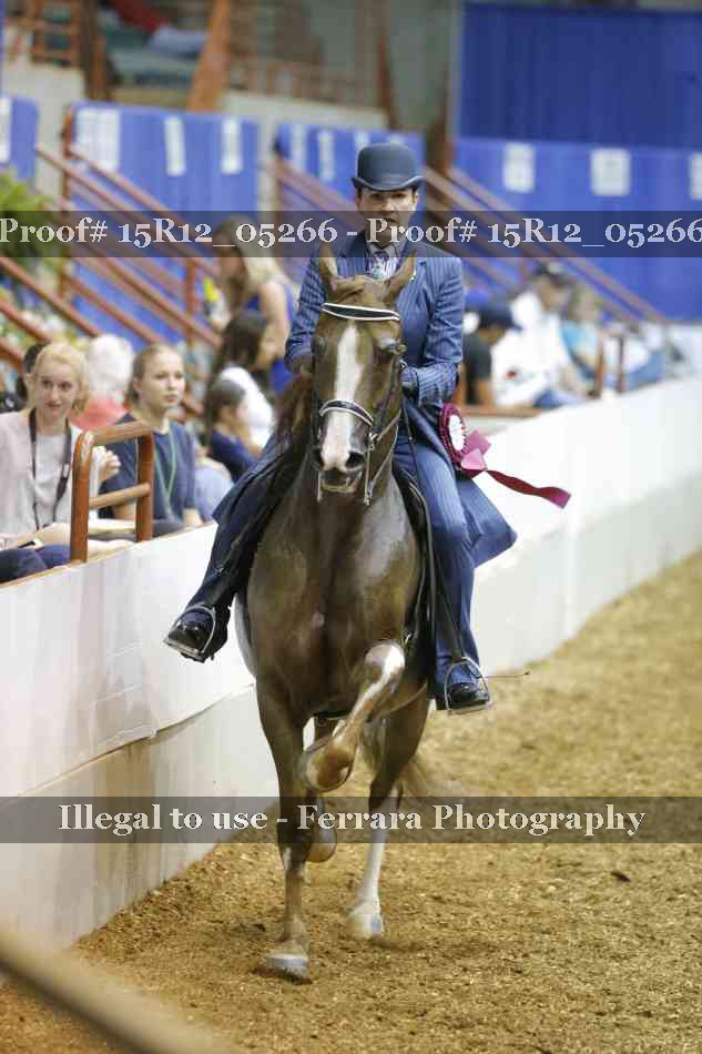 Proof Number 15R12_05266