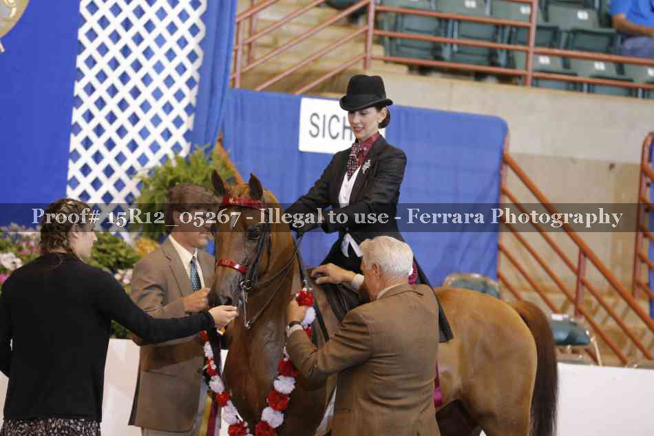 Proof Number 15R12_05267