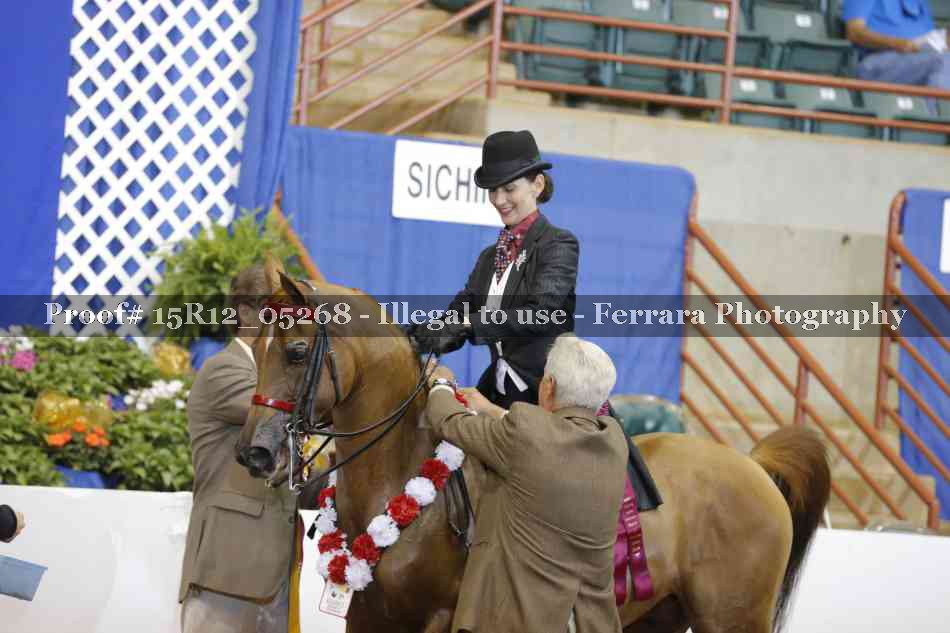 Proof Number 15R12_05268