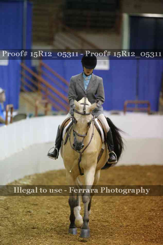 Proof Number 15R12_05311