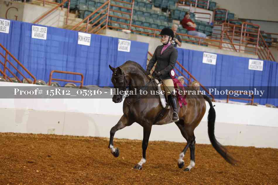 Proof Number 15R12_05316