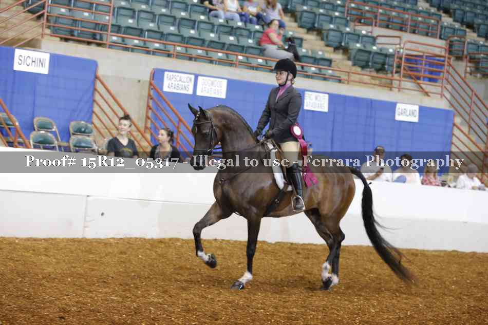 Proof Number 15R12_05317