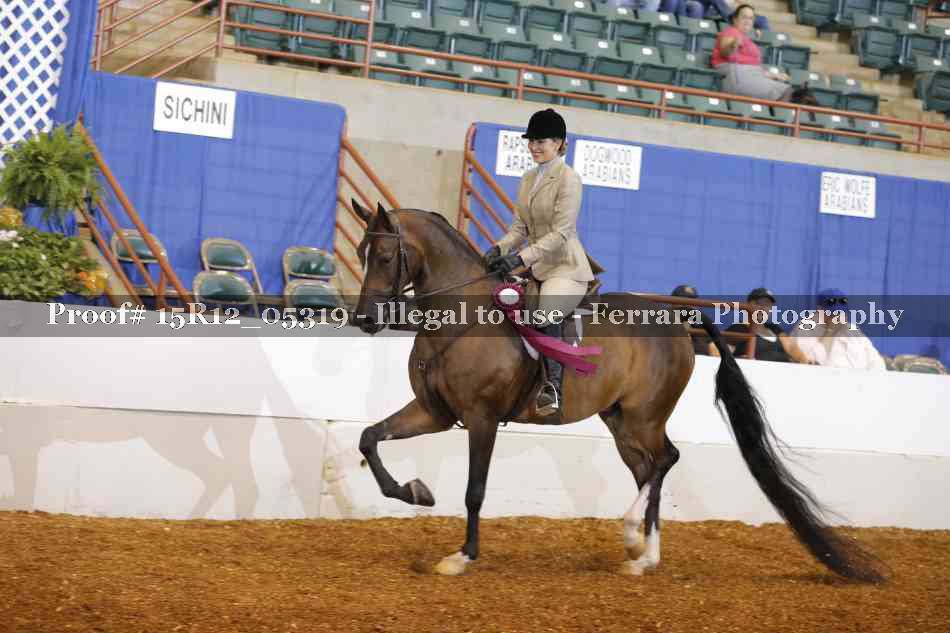 Proof Number 15R12_05319
