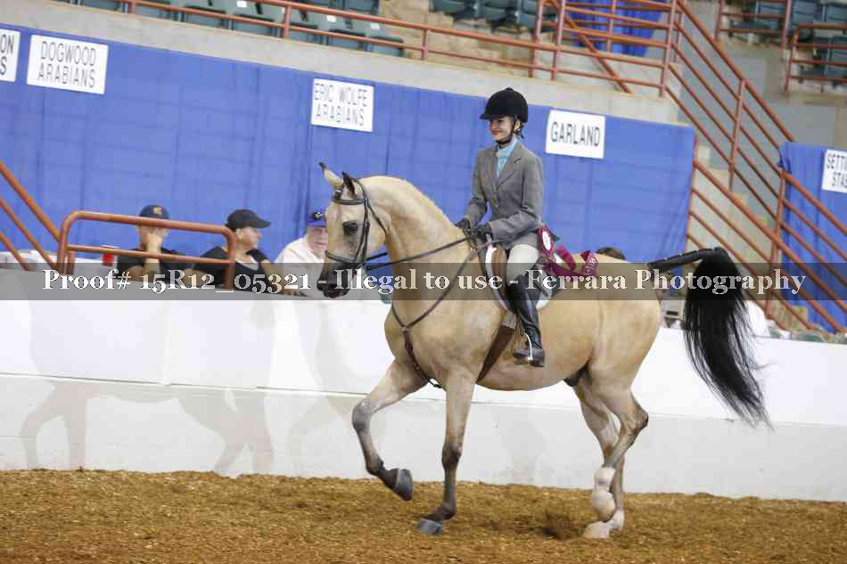 Proof Number 15R12_05321