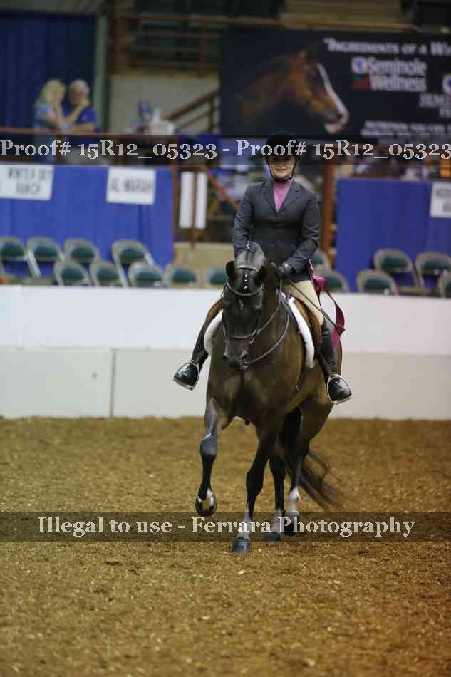 Proof Number 15R12_05323