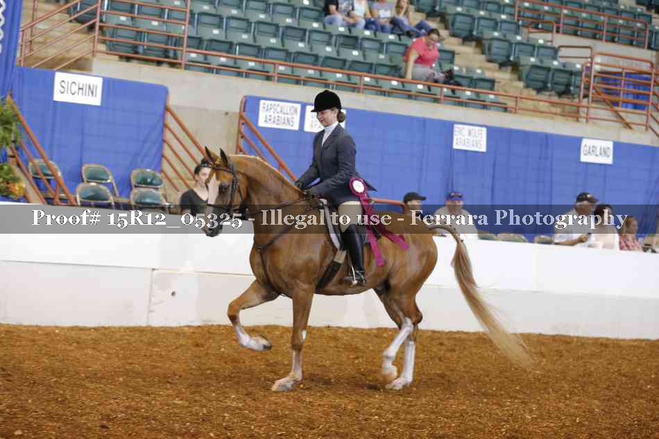 Proof Number 15R12_05325