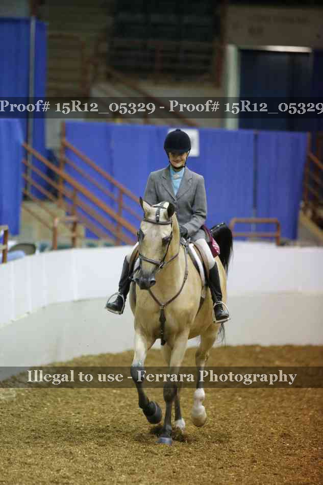 Proof Number 15R12_05329