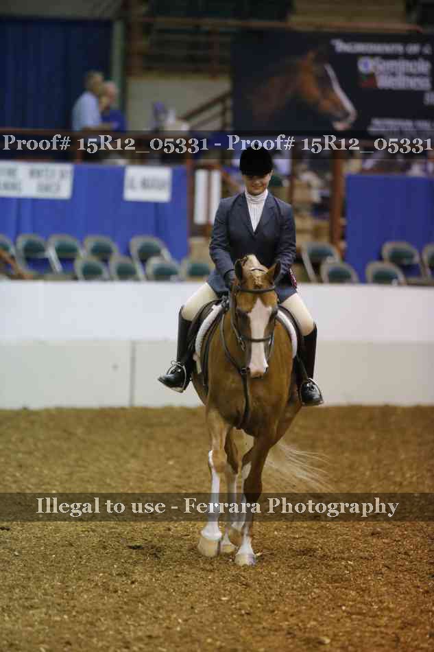 Proof Number 15R12_05331