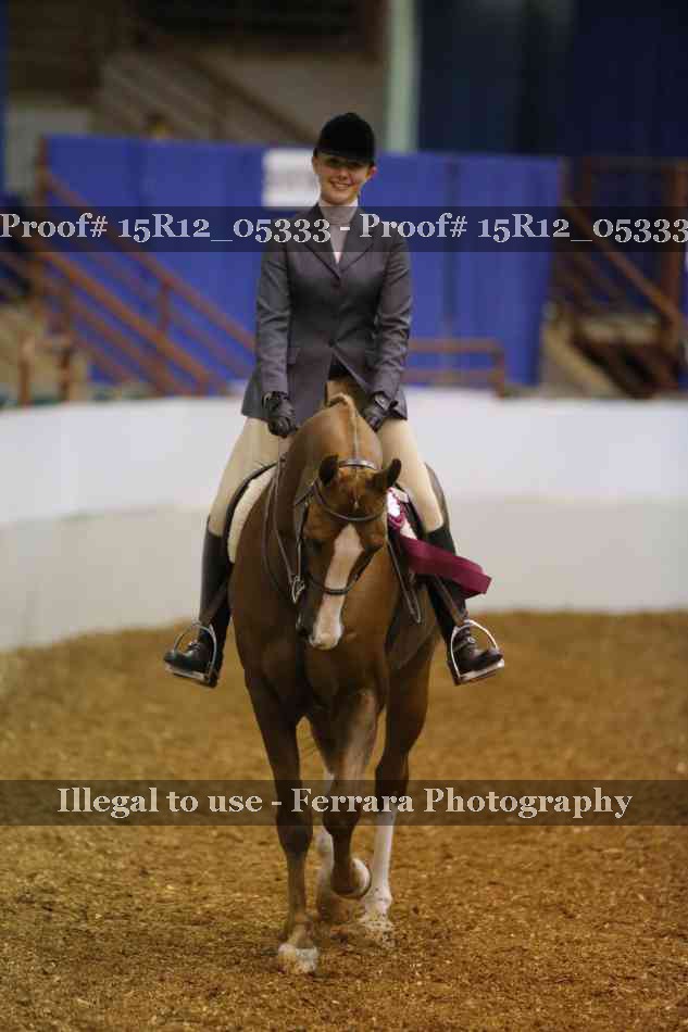 Proof Number 15R12_05333