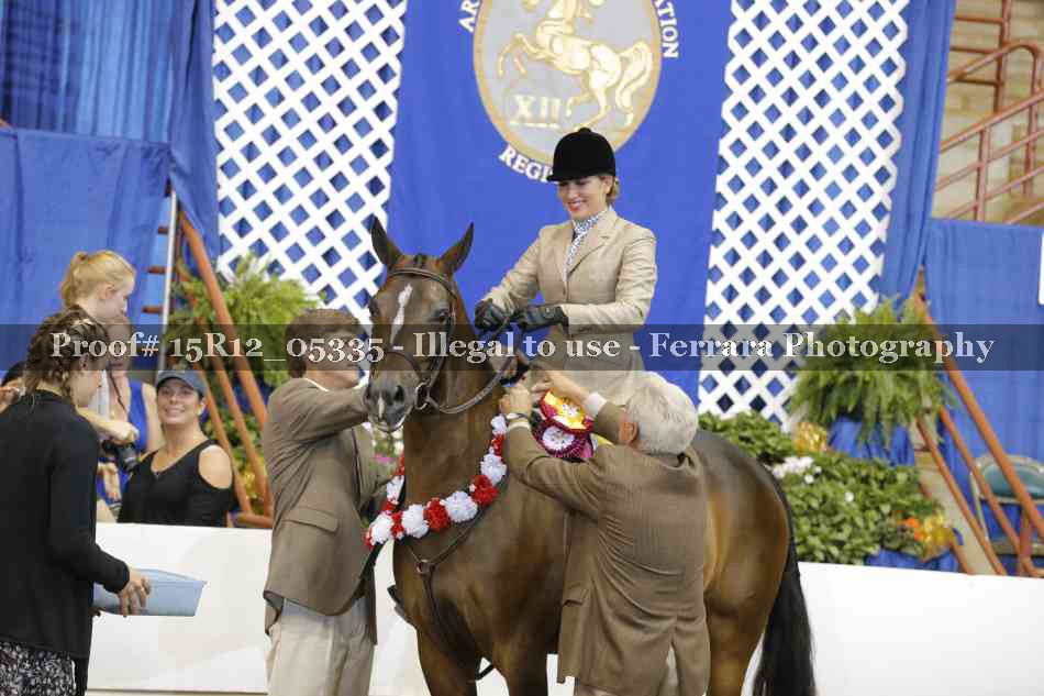 Proof Number 15R12_05335