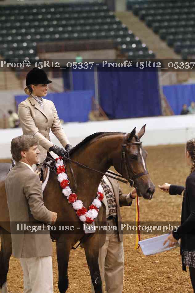Proof Number 15R12_05337