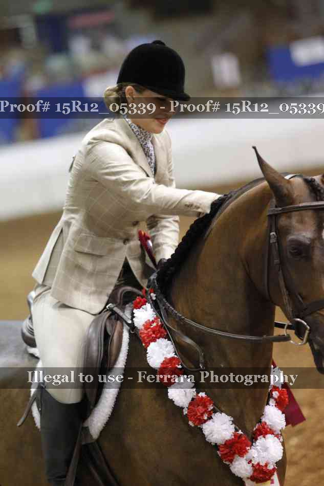 Proof Number 15R12_05339
