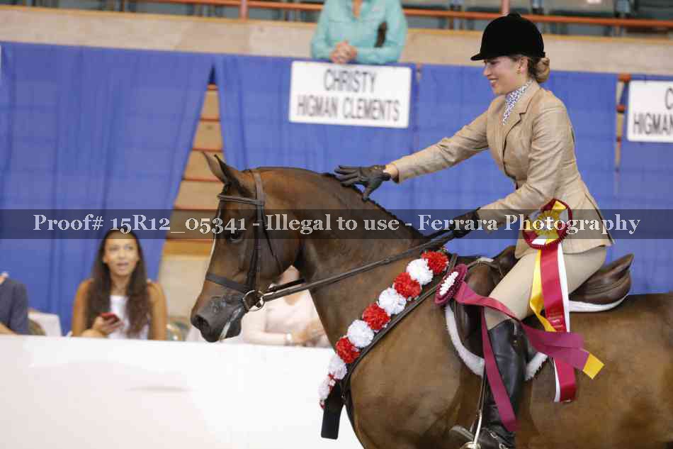 Proof Number 15R12_05341
