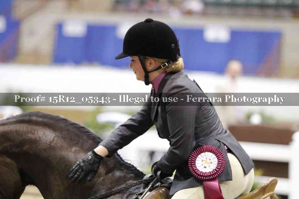 Proof Number 15R12_05343