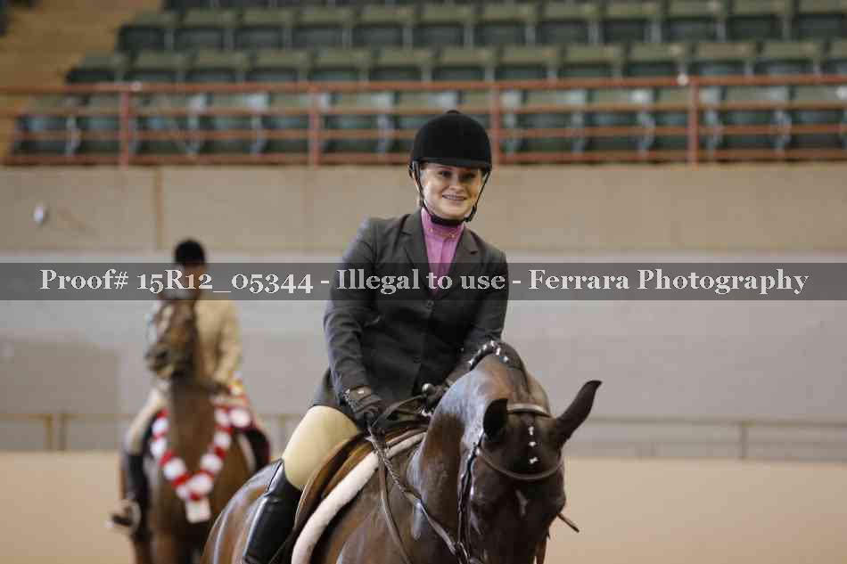 Proof Number 15R12_05344