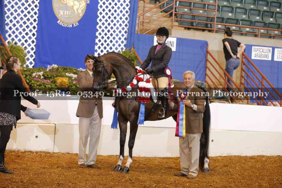 Proof Number 15R12_05349