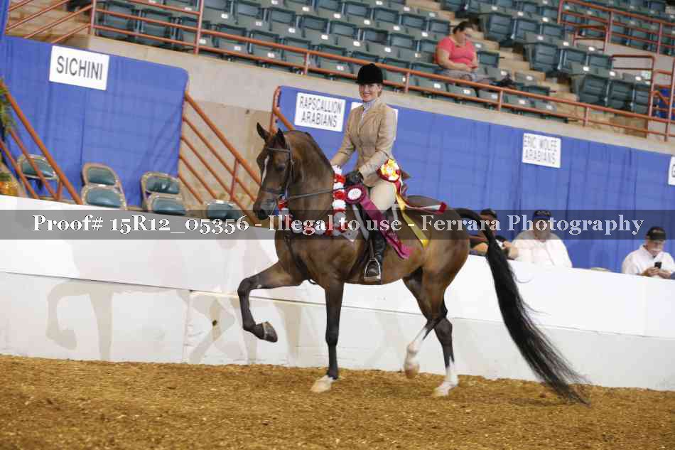 Proof Number 15R12_05356