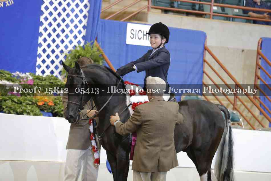 Proof Number 15R12_05413