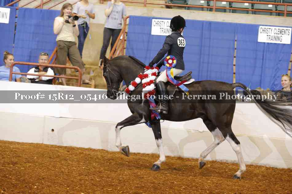 Proof Number 15R12_05416