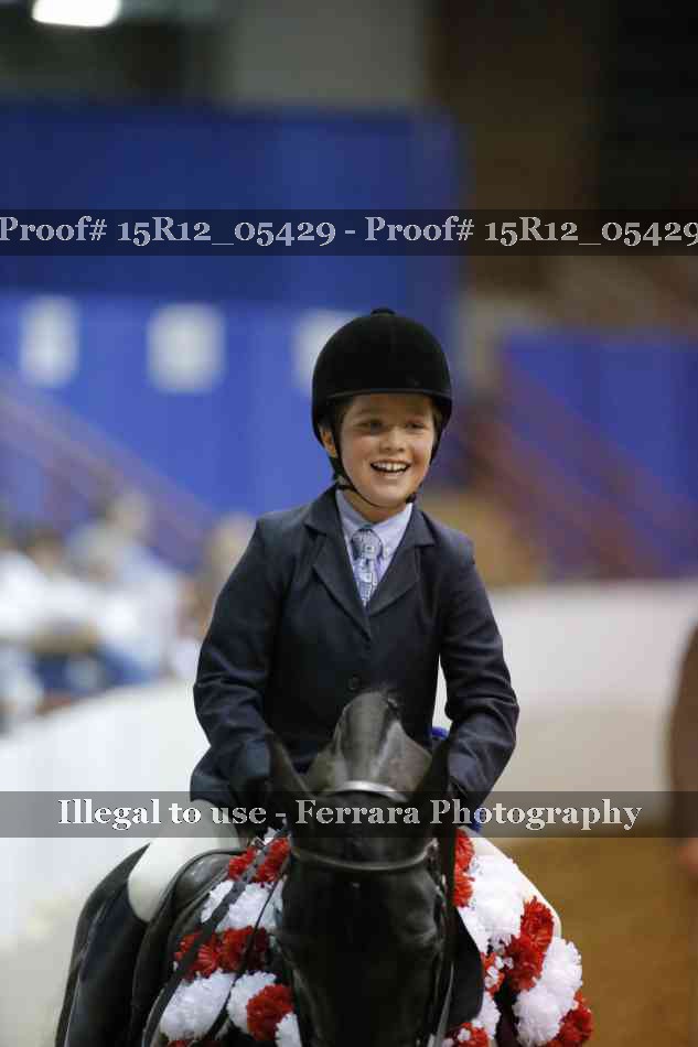 Proof Number 15R12_05429