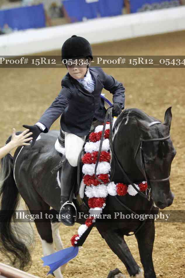 Proof Number 15R12_05434