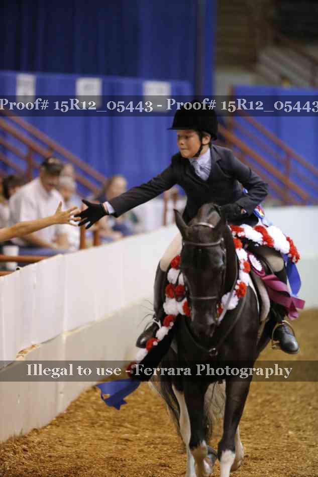 Proof Number 15R12_05443