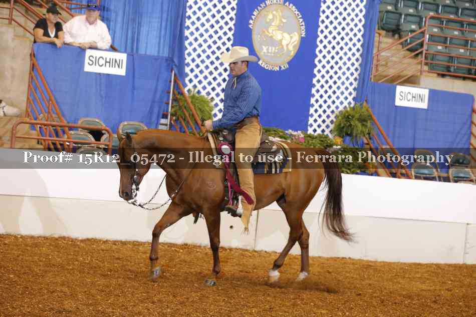 Proof Number 15R12_05472