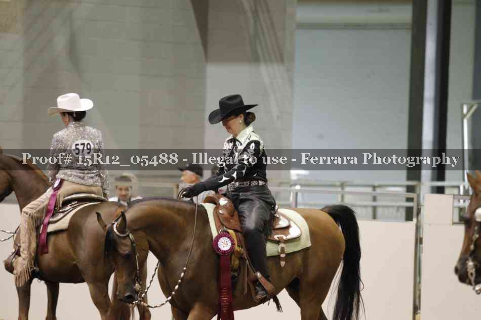 Proof Number 15R12_05488