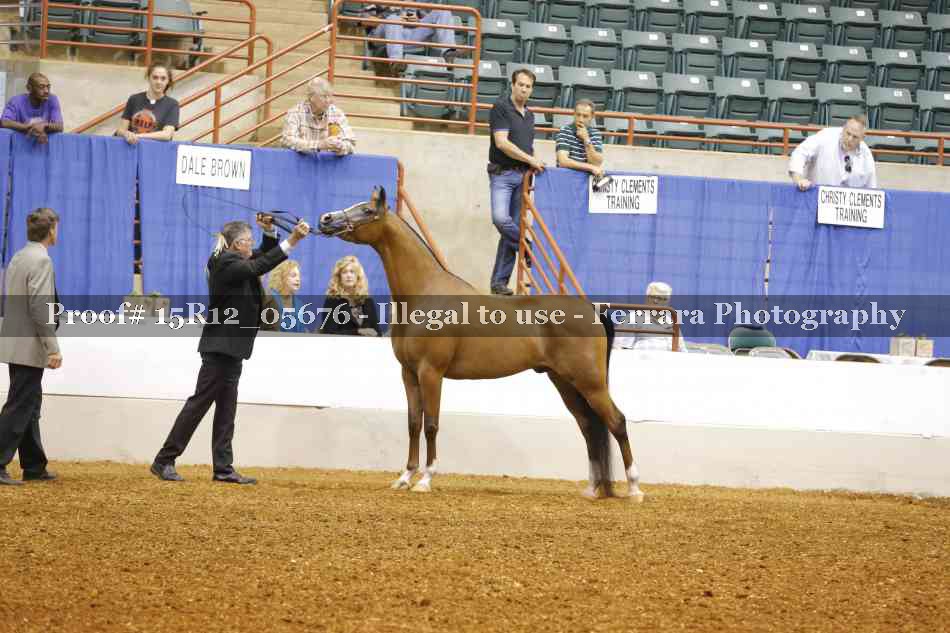 Proof Number 15R12_05676
