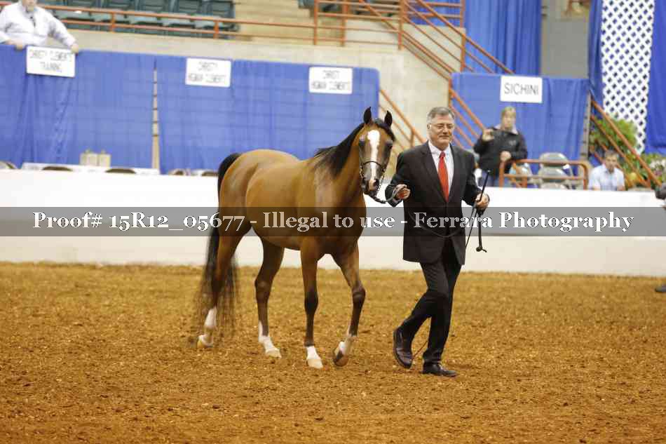 Proof Number 15R12_05677