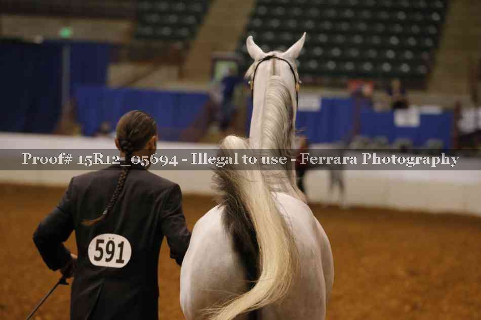 Proof Number 15R12_05694