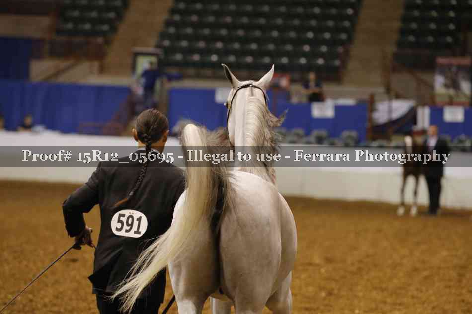 Proof Number 15R12_05695