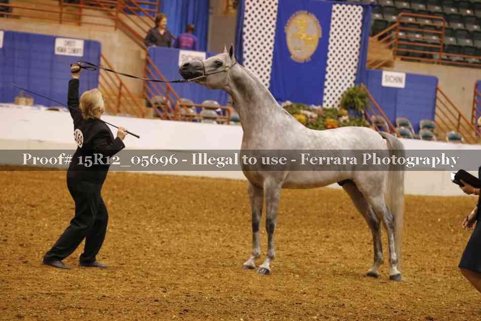 Proof Number 15R12_05696