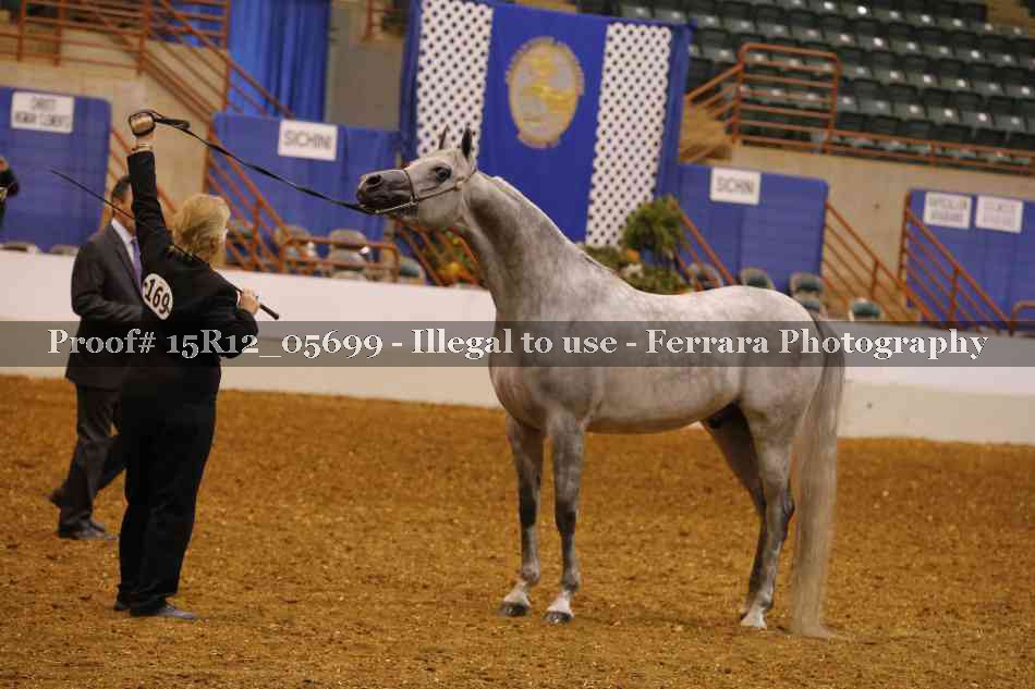 Proof Number 15R12_05699