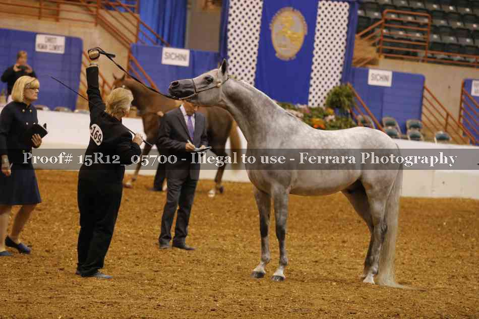 Proof Number 15R12_05700