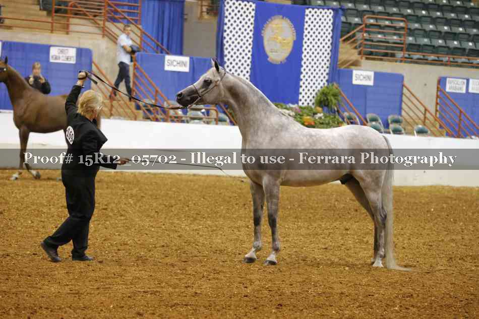 Proof Number 15R12_05702
