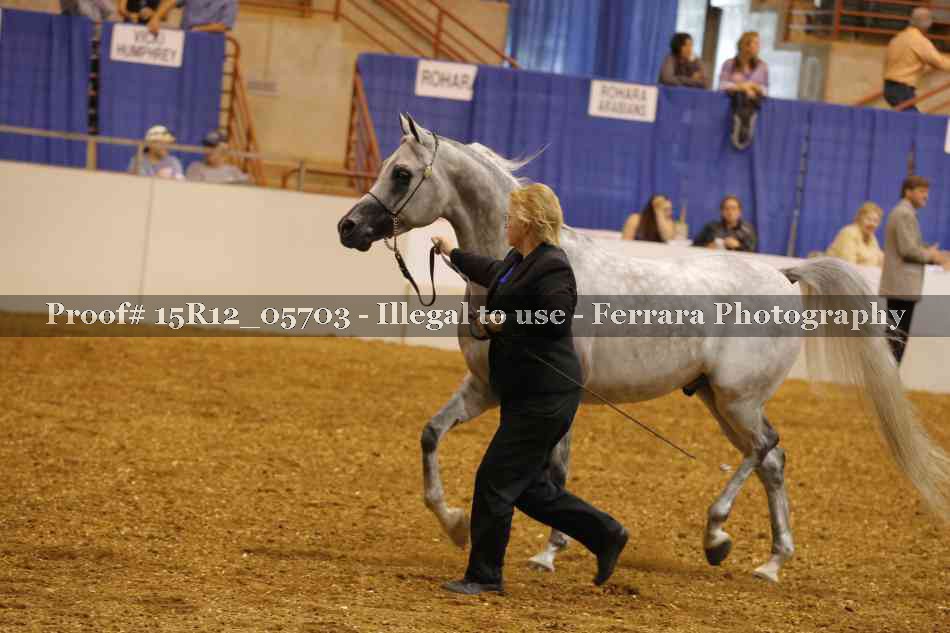 Proof Number 15R12_05703