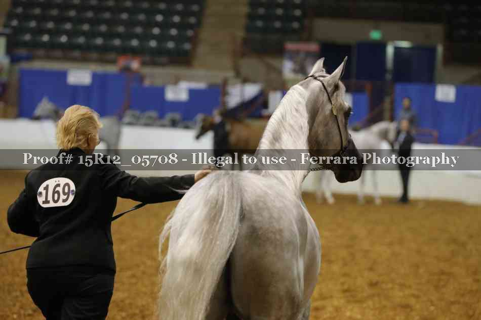 Proof Number 15R12_05708